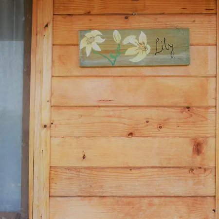 Kamp alanı Scala Bungalows Himarë