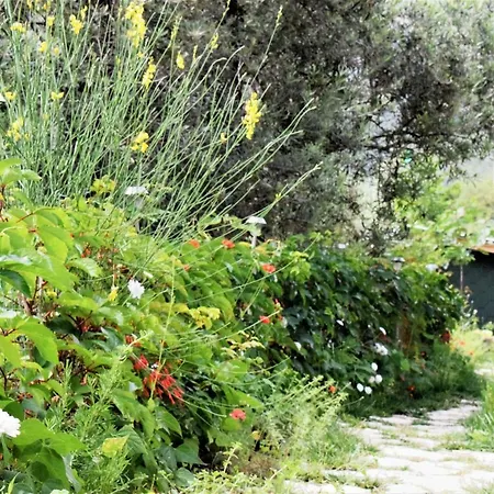 Kamp alanı Scala Bungalows *