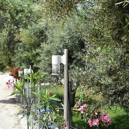 Scala Bungalows Campsite