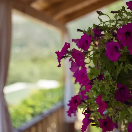 Campsite Scala Bungalows